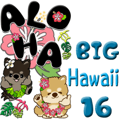 [LINEスタンプ] 【Big】ちゃちゃ丸 16『Hawaii』