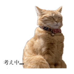 [LINEスタンプ] ねこすたんプ2