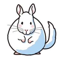 [LINEスタンプ] もふもふが愛くるしいチンチラ君
