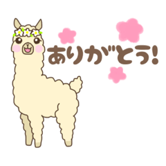 [LINEスタンプ] アルパカ『はなちゃん』の日常スタンプ