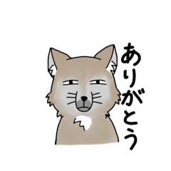 [LINEスタンプ] チベットスナギツネの日々