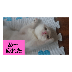 [LINEスタンプ] みるく   独り言