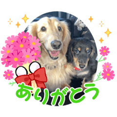 [LINEスタンプ] さくま4