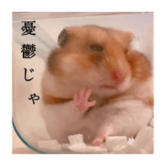 [LINEスタンプ] おかもんどフレンズ3