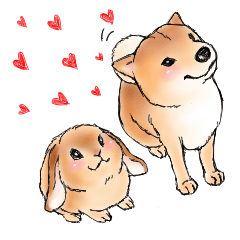 [LINEスタンプ] 北海道犬とロップイヤーラビットの画像（メイン）