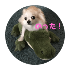 [LINEスタンプ] もみじスタンプ1.0-16