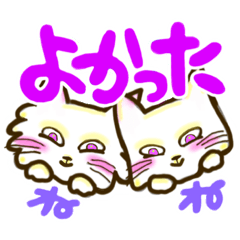 [LINEスタンプ] ピュアネコがゆくー5の画像（メイン）