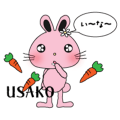 [LINEスタンプ] 毎日USAKO