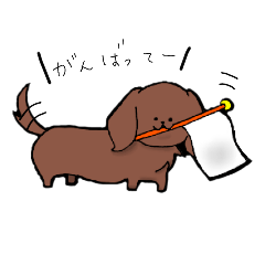 [LINEスタンプ] かわゆいわんこ