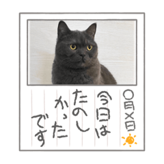 [LINEスタンプ] 私は私が好きだ