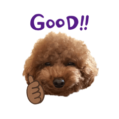 [LINEスタンプ] むぎはなスタンプ