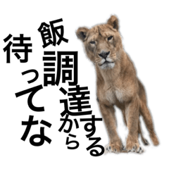 [LINEスタンプ] シュールな動物おもしろスタンプ