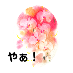 [LINEスタンプ] seiji花100物語2