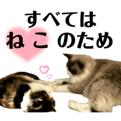 [LINEスタンプ] ネコチャン‼︎