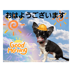 [LINEスタンプ] akis stamp