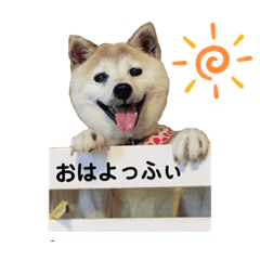 [LINEスタンプ] 柴犬ヨッフィ