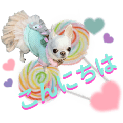 [LINEスタンプ] チワワのろよです♪