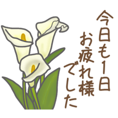 [LINEスタンプ] お花敬語