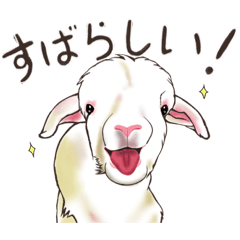 [LINEスタンプ] オール⭐︎こひつじちゃん