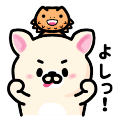 [LINEスタンプ] フレンチブルドッグのコルビー