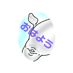 [LINEスタンプ] 白イルカ  夏  beluga