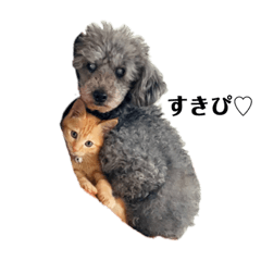 [LINEスタンプ] ティアばあちゃんとあめときき1