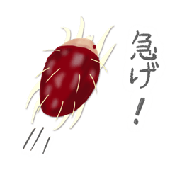 [LINEスタンプ] ハダニの呟き2