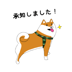 [LINEスタンプ] 柴犬のしんくん（丁寧な言葉）