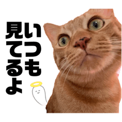 [LINEスタンプ] 山口動物園の一部