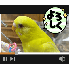 [LINEスタンプ] ゆきちゃん宅スタンプ30
