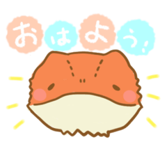 [LINEスタンプ] フトアゴひなちゃん。