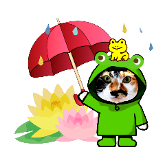 [LINEスタンプ] ねことも＆うちのねこ