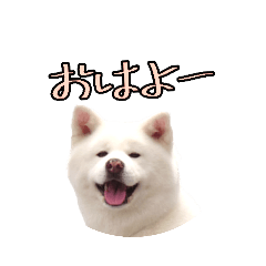 [LINEスタンプ] 米すたんぷ