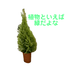 [LINEスタンプ] 植物のスタンプ2