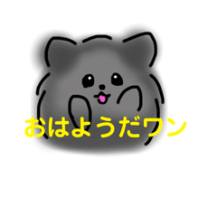 [LINEスタンプ] かわいいポメちゃんスタンプ♪ よく使う編