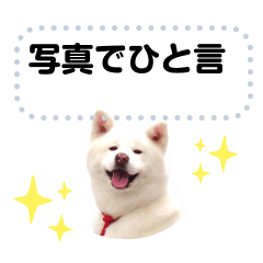 [LINEスタンプ] 米すたんぷ メッセージ