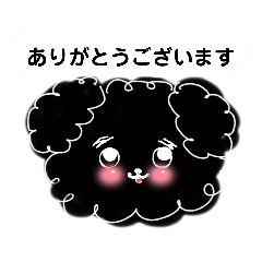 [LINEスタンプ] 私たちの天ちゃん4ヶ月～黒トイプードル～