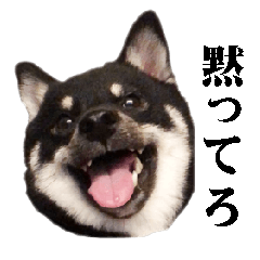 [LINEスタンプ] お口が悪い黒柴ちゃん