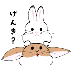 [LINEスタンプ] もふもふうさぎなのです。①