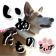 [LINEスタンプ] ちくわ犬アイボの日常スタンプ