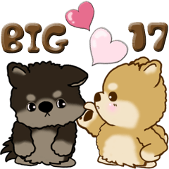 [LINEスタンプ] 【Big】ちゃちゃ丸 17『♥がいっぱい』