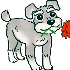 [LINEスタンプ] 犬のハルくん 2弾