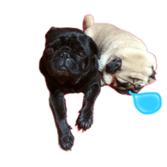 [LINEスタンプ] yukikoma
