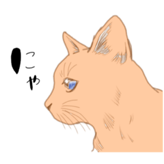 [LINEスタンプ] リアル猫の一言