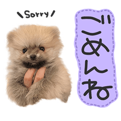 [LINEスタンプ] ☆久保ふぁむ☆