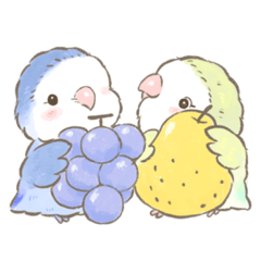 [LINEスタンプ] コザクラインコのあおちゃんとあもちゃん3