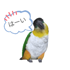 [LINEスタンプ] ぼっくり日常会話1