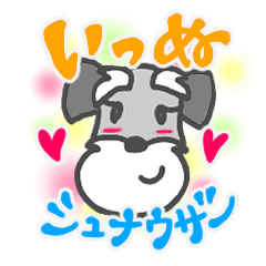 [LINEスタンプ] いっぬさんすたんぷ ！！！シュナウザー！