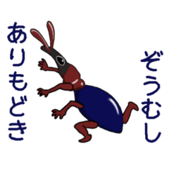 [LINEスタンプ] いりむさーの呟き