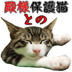 [LINEスタンプ] 殿様保護猫【殿（との）】